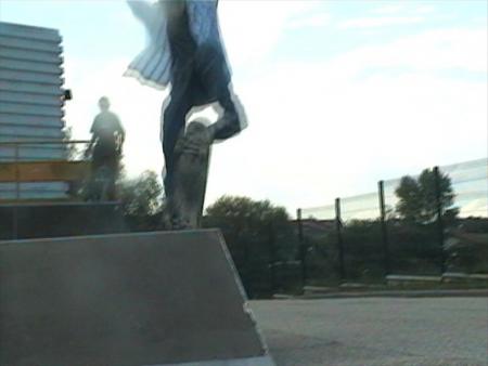 alex flip