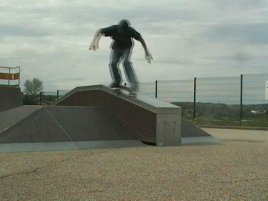 alex